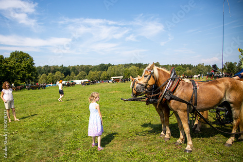 Child in front of clamped carriage horses