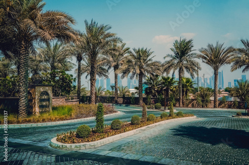 Photography Oasis in Dubai. Beautiful green views of Dubai city.
