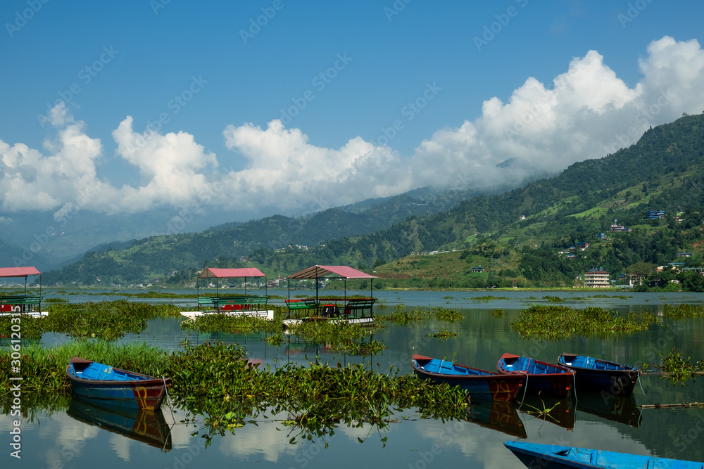 Naklejka premium Multi-colored bright wooden boats tied in the grass to the shore of Phewa Lake, in Pokhara (Nepal)
