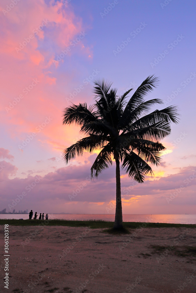 Silhouettes of palm tree and amazing cloudy sky on sunset at tropical, Thailand