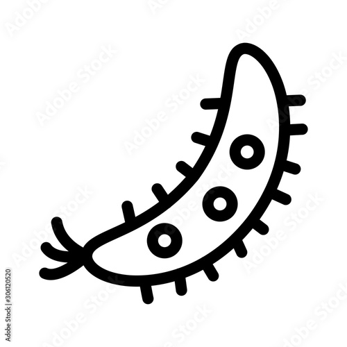 virus