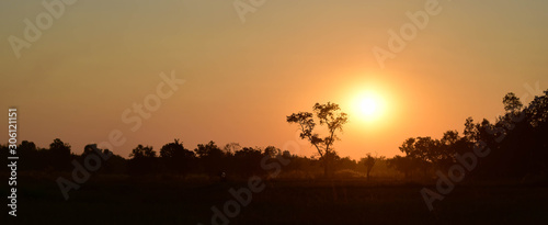 The Sunset over the fields