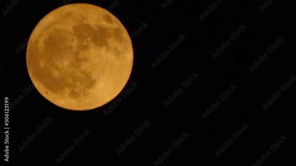 Fototapeta premium Full Moon
