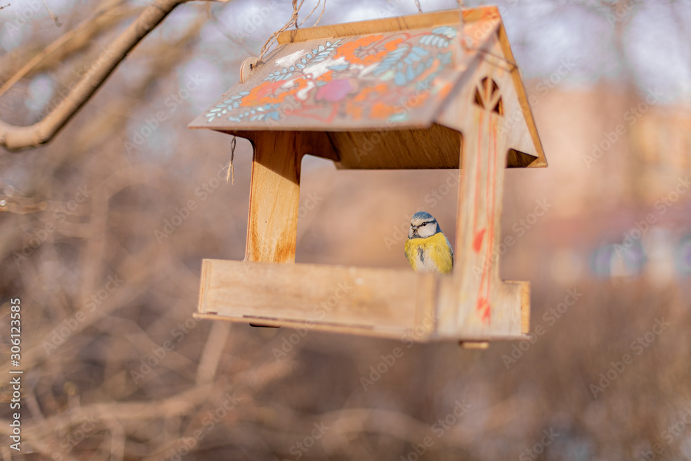 Fototapeta premium Titmouse sits on a wooden feeding trough, which hangs on a tree. Bird.