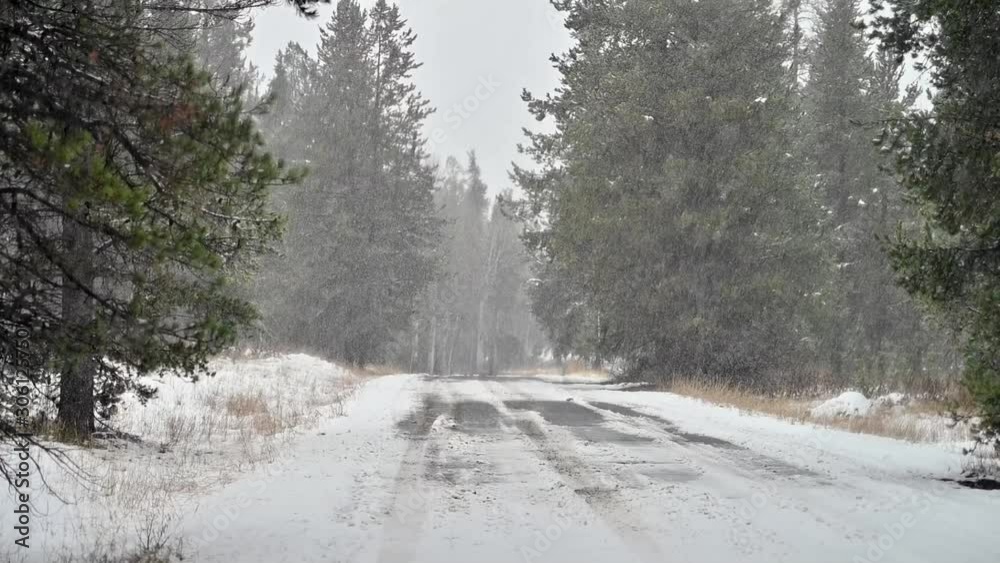 snowy road landscape in winter