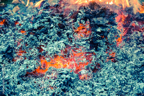 Fire burning dry leave and grass