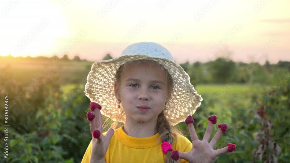 The girl eats raspberries from her fingers. Little kid in a straw hat laughs showing hands with raspberries on her fingers. Happy child with raspberries. Girl having fun on a raspberry plantation. The girl eats raspberries from her fingers. Little kid in a straw hat laughs showing hands with raspberries on her fingers. Happy child with raspberries. Girl having fun on a raspberry plantation.