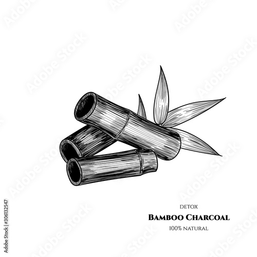 Vector bamboo charcoal. Hand drawn. Vintage style