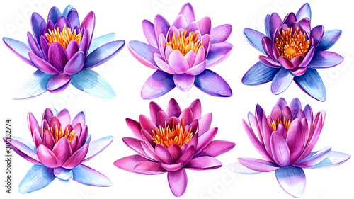 watercolor lotus flowers on an isolated white background  hand drawing  greeting card with place for text