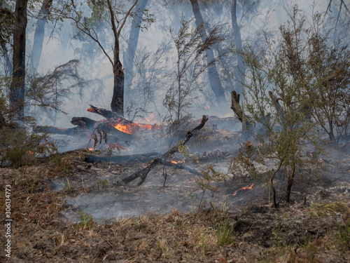 smoke and flames from a wildfire or bushfire
