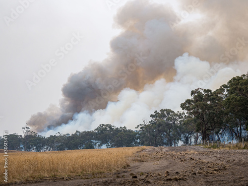smoke from a large bushfire