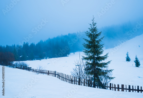 Beautiful panorama of fences © YouraPechkin