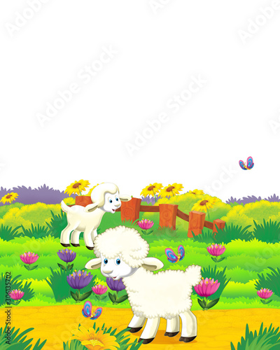 cartoon scene with sheep having fun on the farm on white background - illustration for children