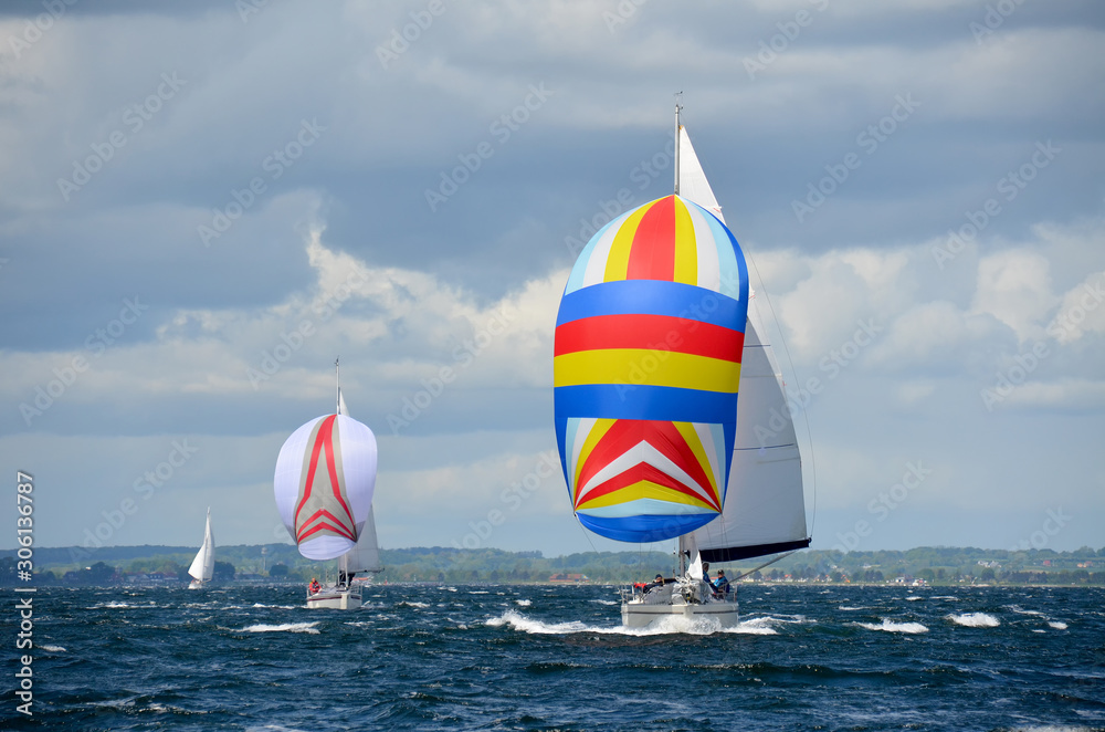 Fototapeta premium unter Spinnaker auf der Ostse