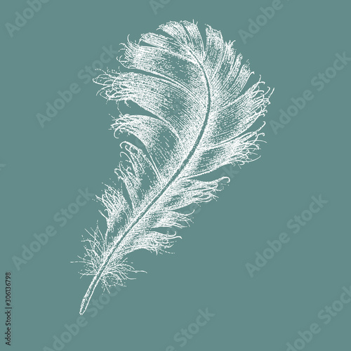 feather white print for fabrics for pillows and blankets, vector pattern on a gray background