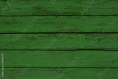 Green wooden texture background. Old wall surface. Horizontal wooden boards. Close up with copy space