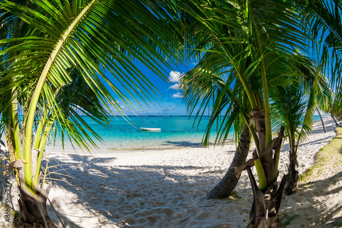 Luxury beach with coconut palms, sand and quiet ocean. Tropical banner