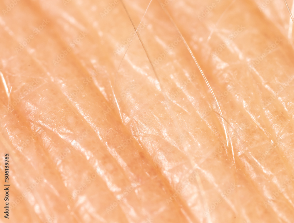 Fototapeta premium Human skin as a background