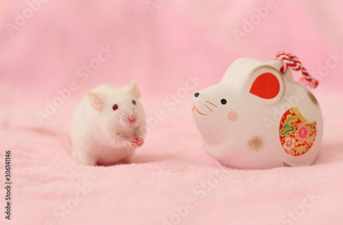 ピンク色の背景にいる白いハツカネズミとネズミの置物