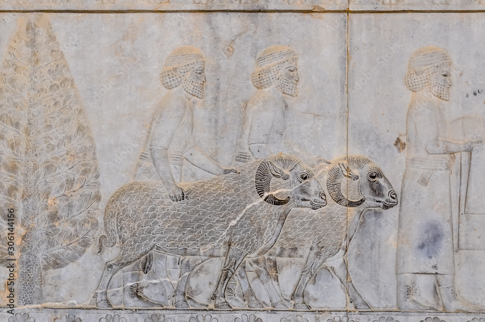 Persepolis, Iran - 06/23/2013: .Famous reliefs