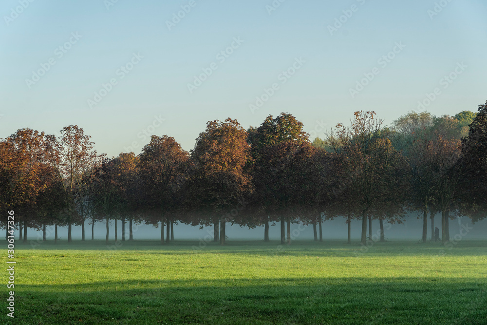 Parco Nord of Milan in a October morning