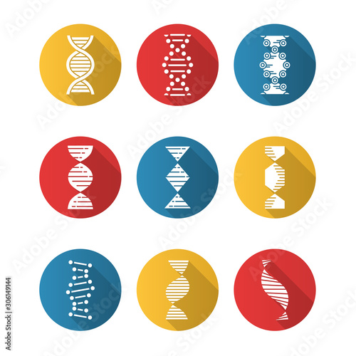 DNA spirals flat design long shadow glyph icons set. Deoxyribonucleic, nucleic acid helix. Spiraling strands. Chromosome. Molecular biology. Genetic code. Genetics. Vector silhouette illustration photo