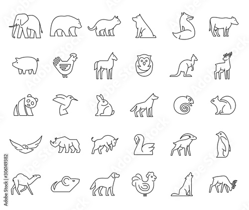 Linear collection of Animal icons. Animal icons set. Isolated on White background