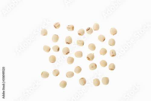 lotus seeds on white background