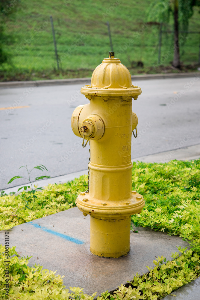 American yellow fire hydrant in a street of Miami American yellow fire hydrant in a street of Miami