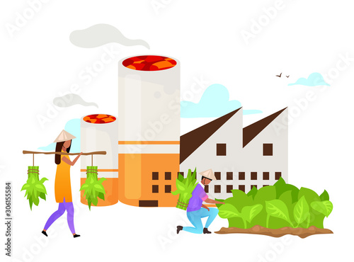 Tobacco industry flat vector illustration. Cigarette production. Cultivation, harvest, farming. Plant, factory. Indonesian business. Isolated cartoon concept on white background