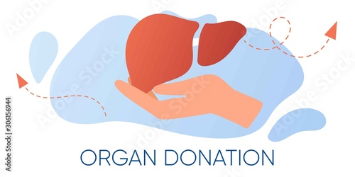 Organ donation web banner, flyer. Hand holding human realistic liver. National organ donor day. Internal organ for transplantation. Volunteering, saving lives and health care concept