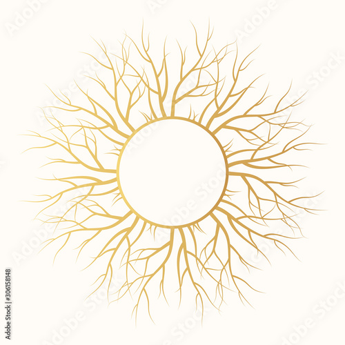 Golden vector isolated timber background. Tree root gold natural frame. 