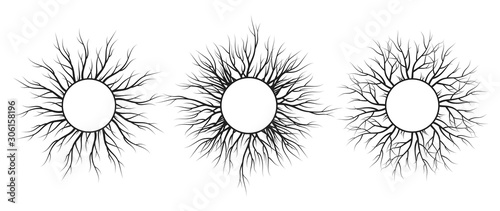 Tree root frame set. Vector isolated timber background. Natural wreath.
