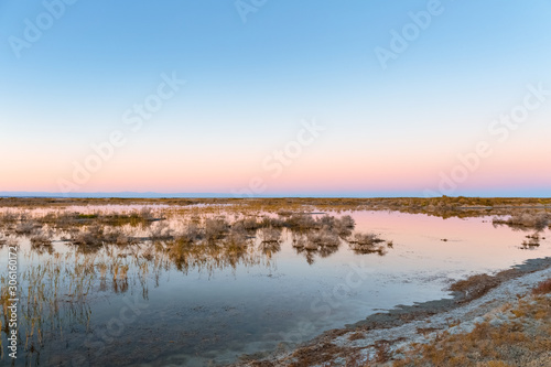 saline and alkaline land in autumn dusk