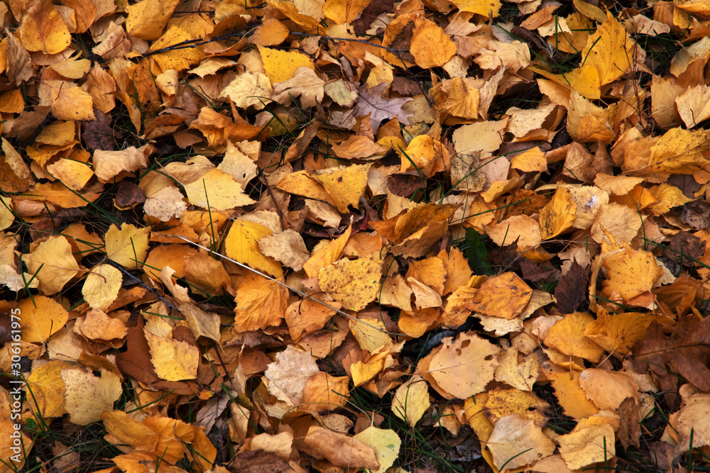 autumn, texture, leaf, fall, nature, food, stone, leaves, rock, red, pattern, brown, yellow, stones, orange, abstract, dry, color, pebble, season, grain, natural, seed, textured, backgrounds