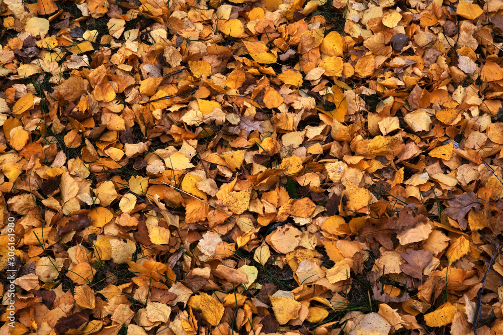 autumn, texture, leaf, fall, nature, food, stone, leaves, rock, red, pattern, brown, yellow, stones, orange, abstract, dry, color, pebble, season, grain, natural, seed, textured, backgrounds