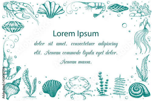 Vector horizontal seashells and marine life banner with place for text. vintage background with engraved seaweeds, sea animals. frame with underwater natural hand drawn elements. card template design