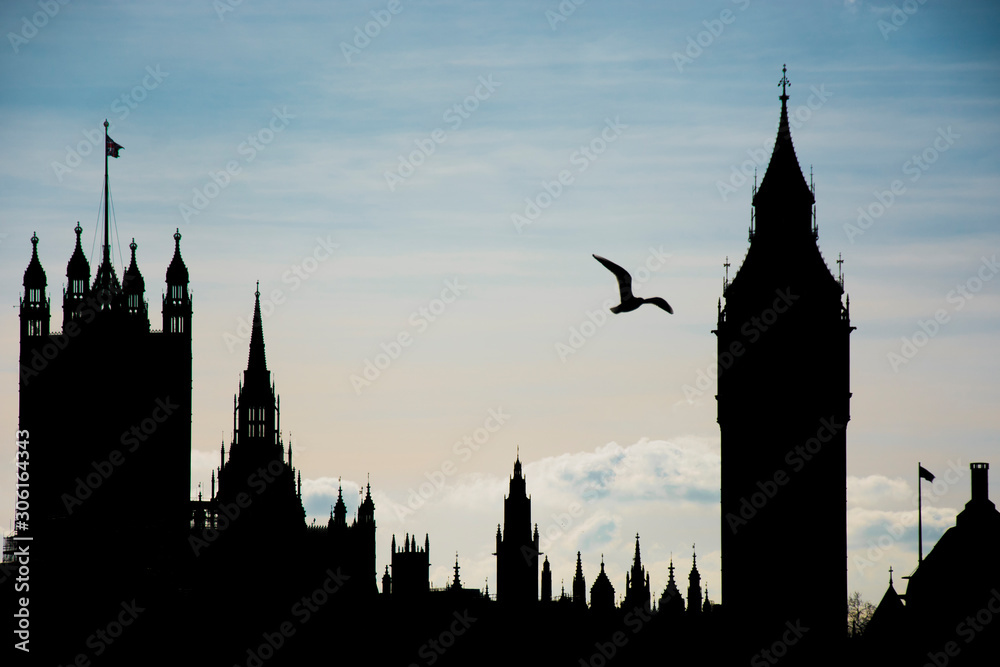 london skyline with a bird