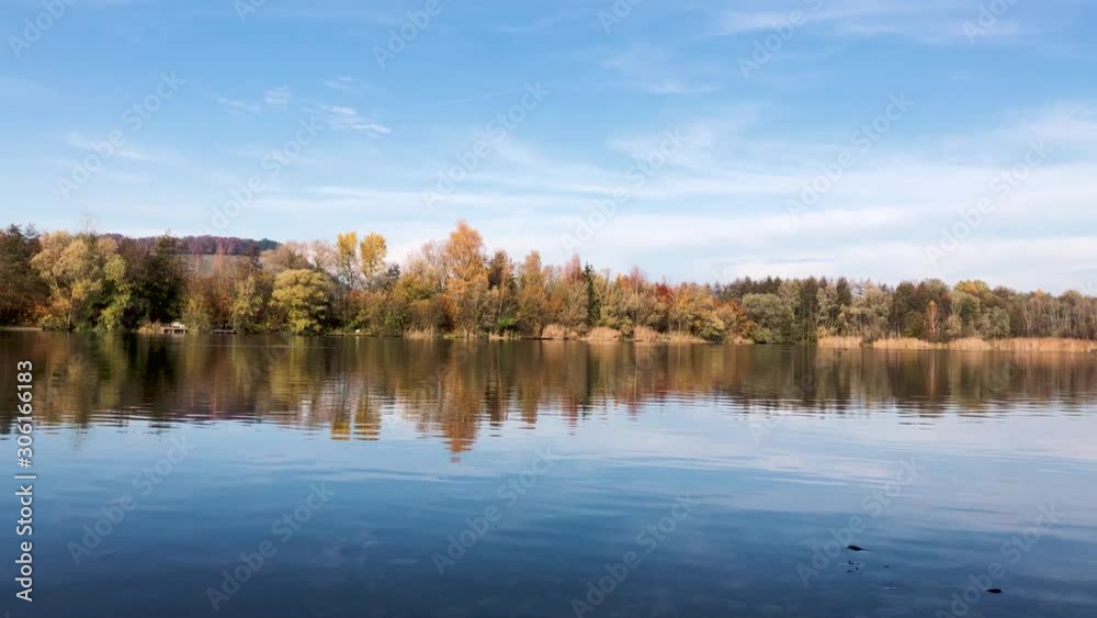 Bird nature reserve lake view, real time shot Bird nature reserve lake view, real time shot