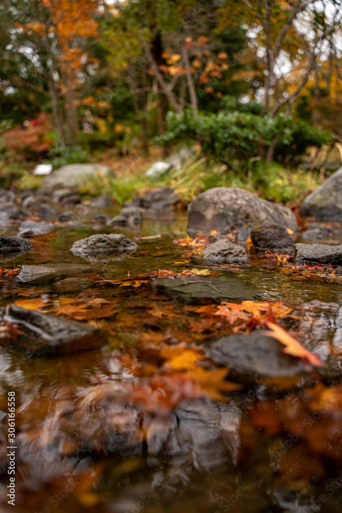 秋の紅葉と川のせせらぎ 秋の紅葉と川のせせらぎ