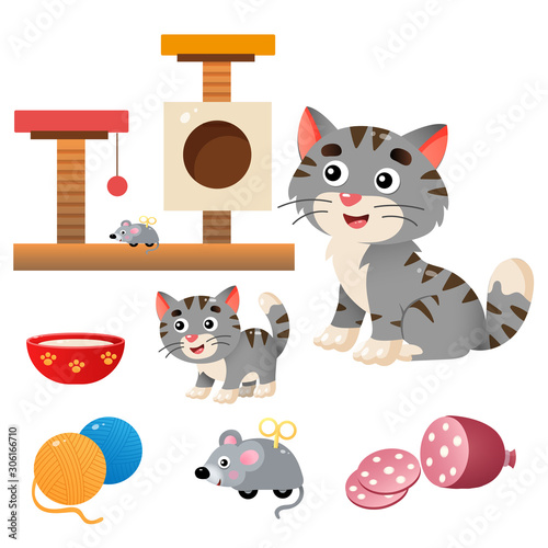Color images of cartoon cat with kitten on white background. Pets. Vector illustration set for kids.