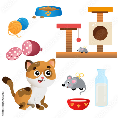Color images of cartoon cat with feed and toys on white background. Pets. Vector illustration set for kids.