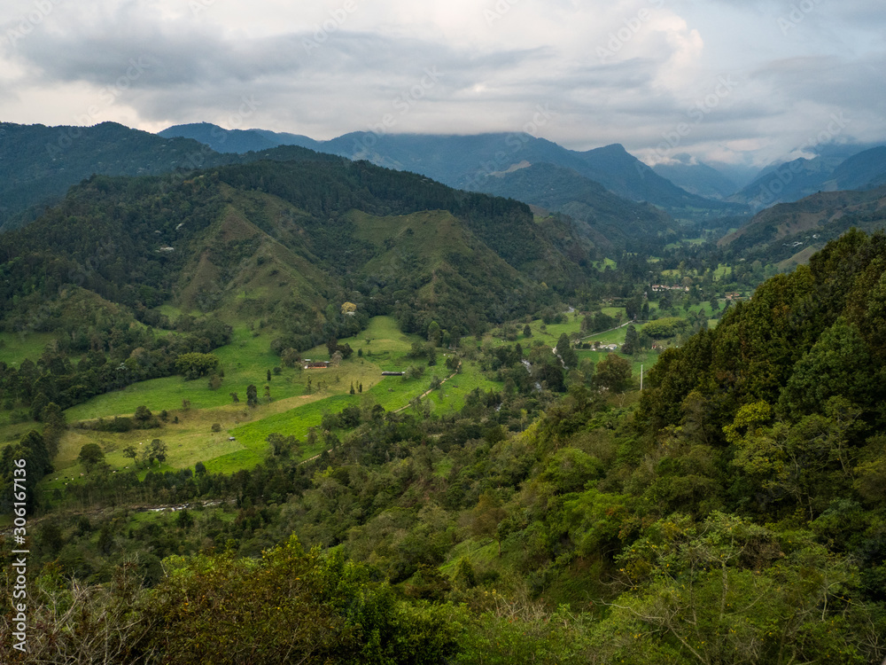 Cocora Valley in Colombia