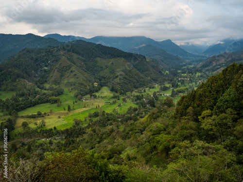 Fototapeta Naklejka Na Ścianę i Meble -  Cocora Valley in Colombia