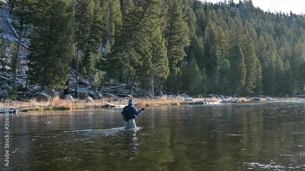 Fly fisherman in Yellowstone Park Fly fisherman in Yellowstone Park
