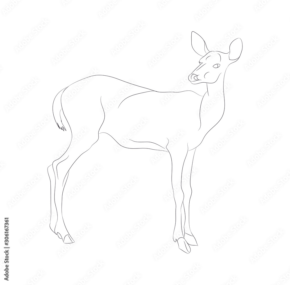 Obraz premium vector illustration deer stands drawing lines,