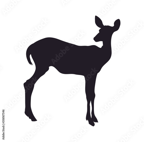 vector illustration deer lies, silhouette, vector © Aleksandra Nesterova