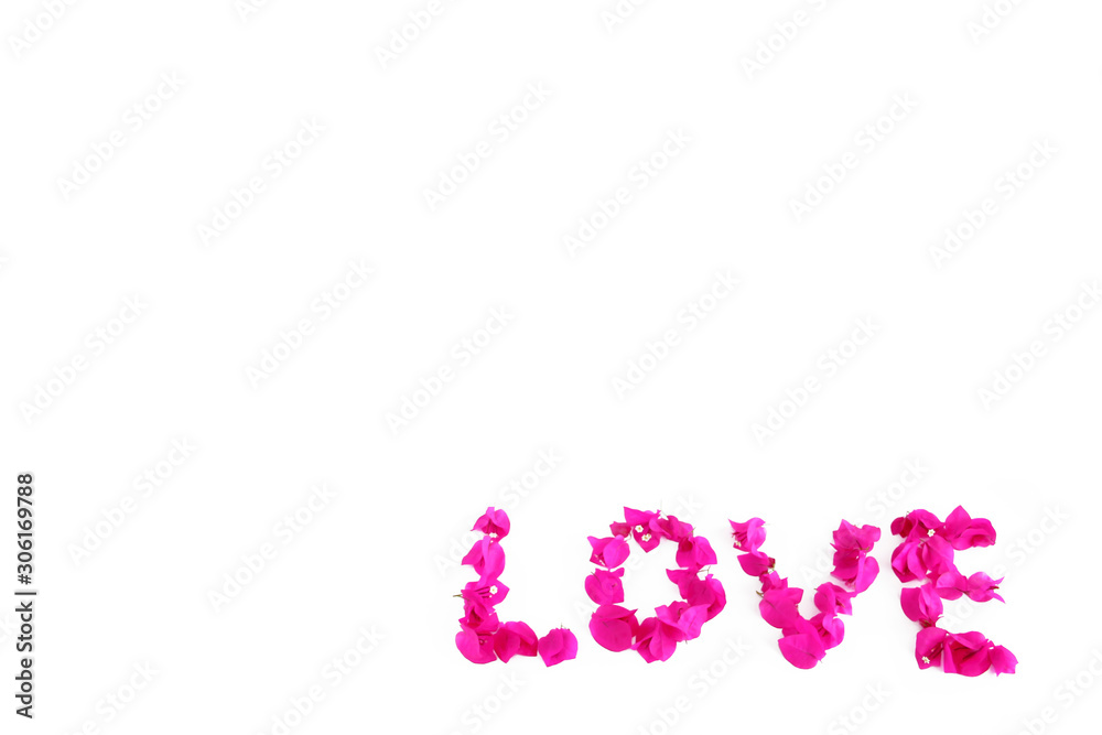 the word love of pink natural bougainvillea flowers for valentines day