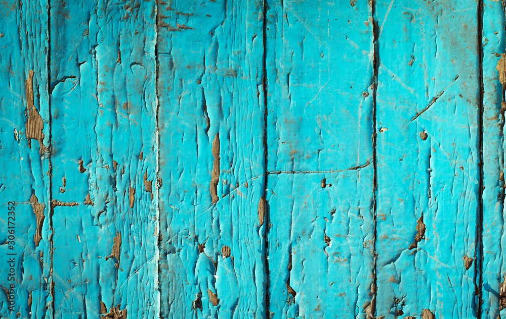 background of old painted cracked boards. background and texture