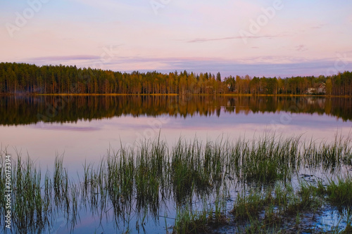 Sunset on the lake with beautiful pink skies. Reeds on the coast. Summer rural landscape.